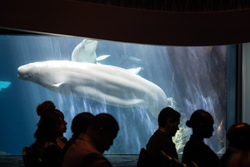 Conference photo gallery image showcasing conference highlights