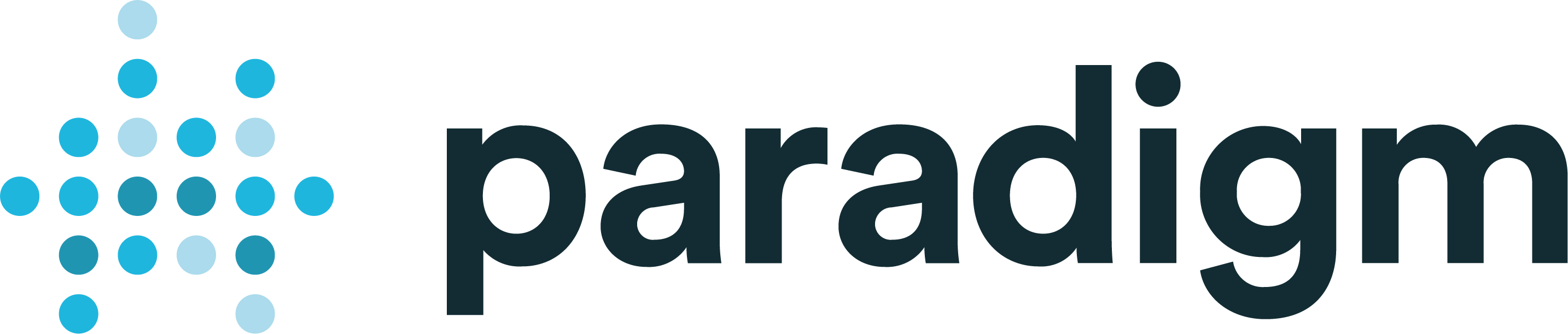 Paradigm Strategy's logo