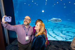 Conference photo gallery image showcasing conference highlights