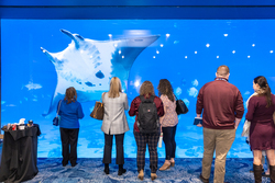 Conference photo gallery image showcasing conference highlights