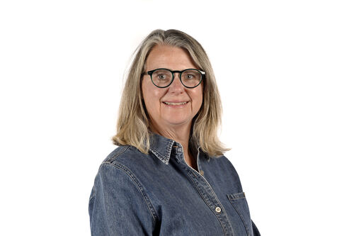 Noelle Phillips's profile picture