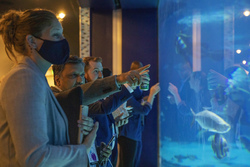 Conference photo gallery image showcasing conference highlights