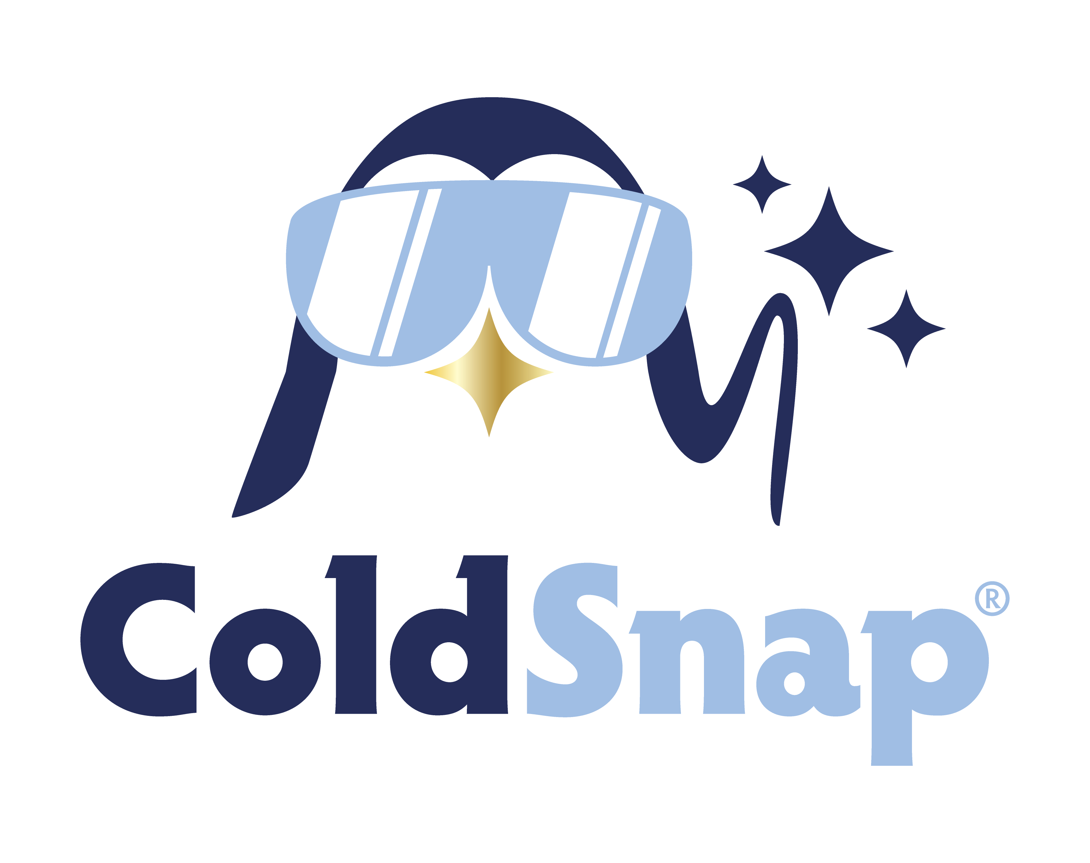 ColdSnap's logo