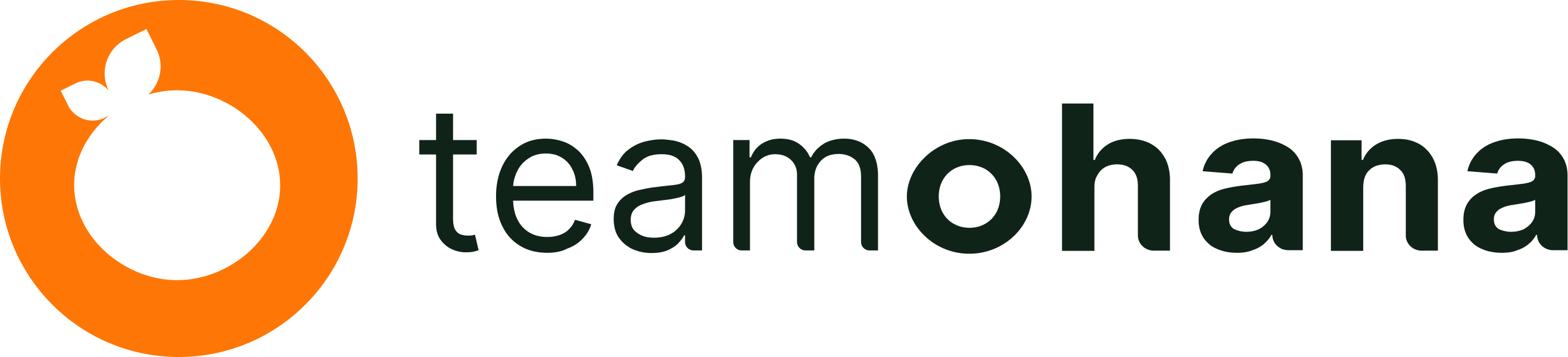 TeamOhana's logo