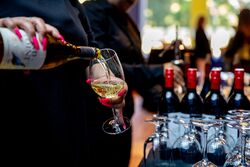 Conference photo gallery image showcasing conference highlights