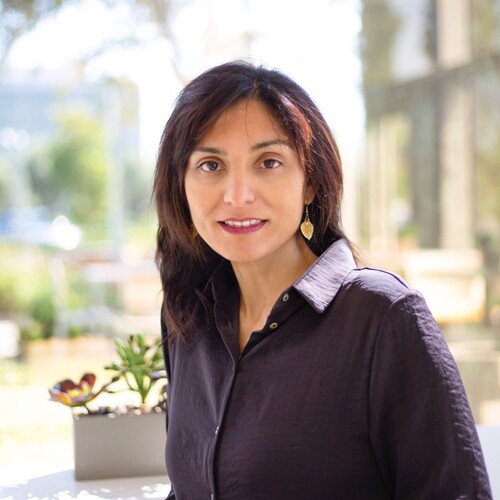 Vidhya Srinivasan's profile picture
