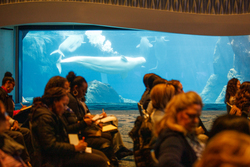 Conference photo gallery image showcasing conference highlights